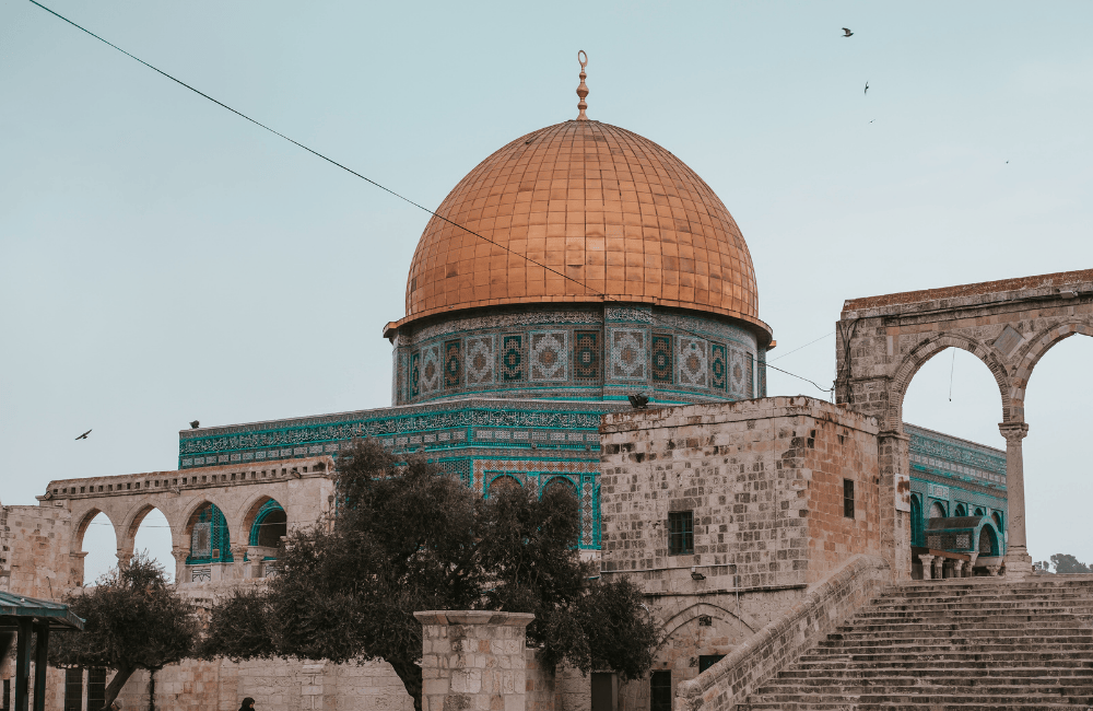 The Palestinians Between a Political Solution and military solution… What to do?